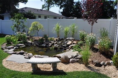 Elegant Water Garden Designs