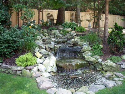 Water Garden Design