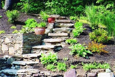 Retaining Walls & Steps