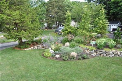 Beautiful Home Garden Designs